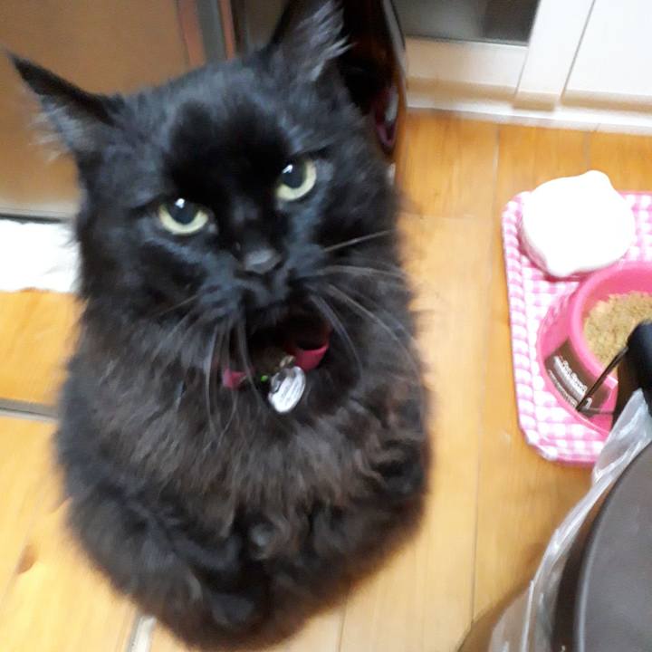 05e68ccd 323d 4032 870e 5b98df5378d2 1521923924438