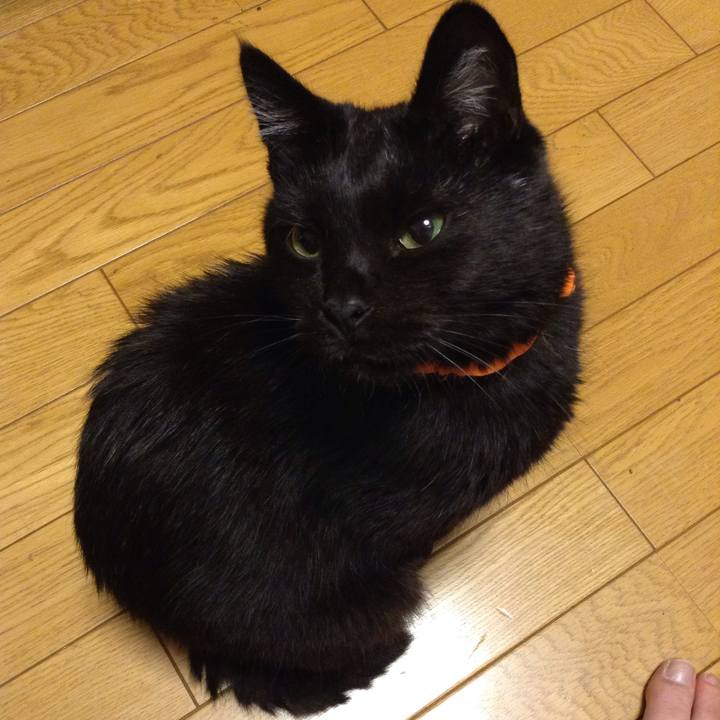 05e698ab b6b1 4ac3 a7f1 39625b5480c4 1570538742789