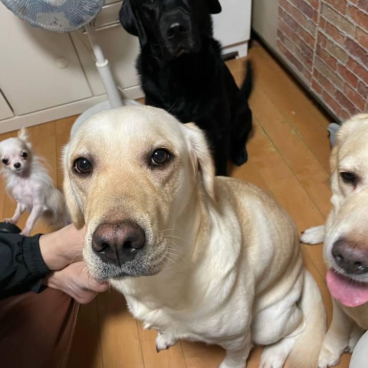 05e6b27f 3f15 464d bbc5 d67fb373c559 1697087593390