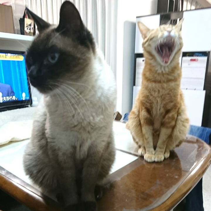 05e6b76d d917 4108 a18d c5e20eea748e 1548200645029