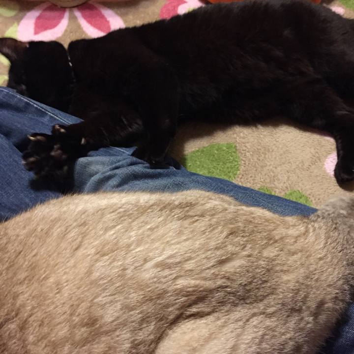 05e6bbf5 e40b 4a45 b584 bc7007f0b310 1521630754242