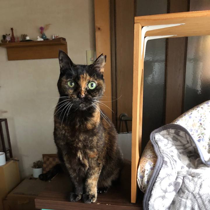 05e70780 7869 4ff8 869b 1d36912331bc 1712282500661