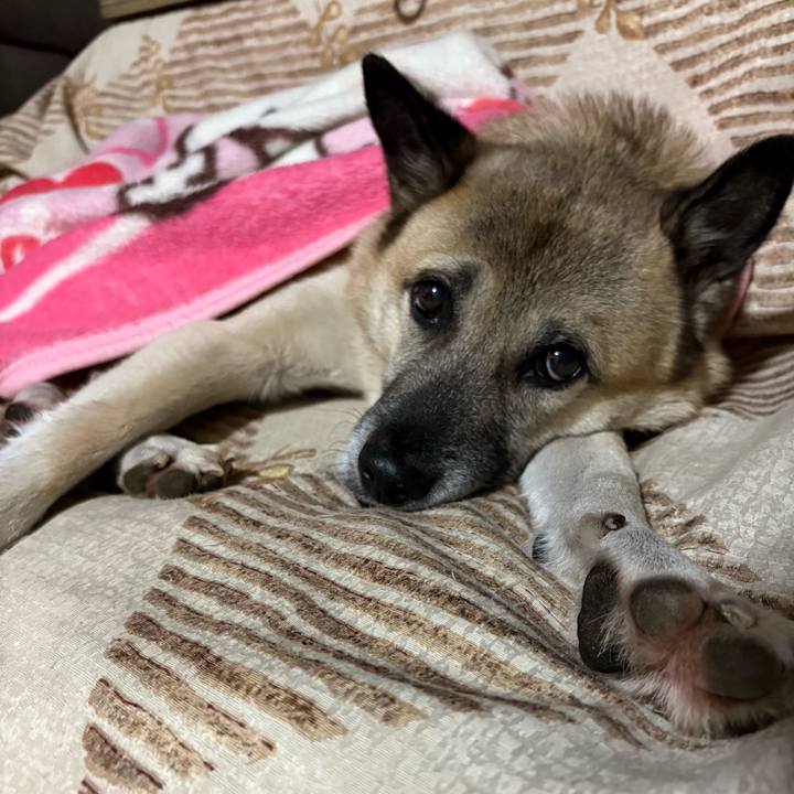 05e70ea3 bebe 4405 8382 f25d8893ed0e 1733749306056