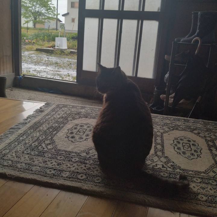 05e75a8b 240a 451e b82b f6bbd20747f7 1684122814669