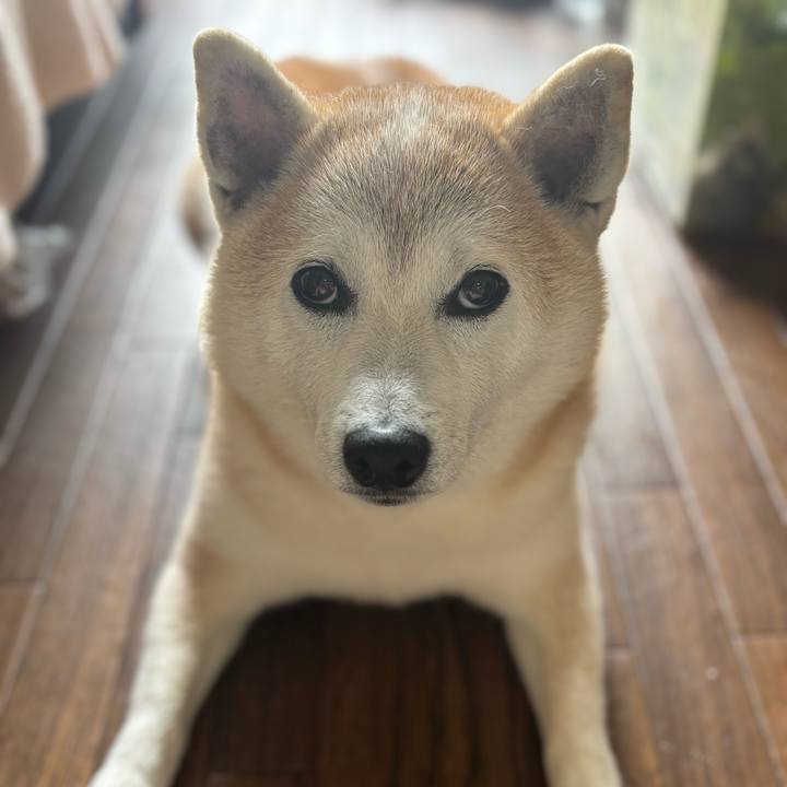 05e7667d 23f6 450f a203 35687bd2980c 1747602135243