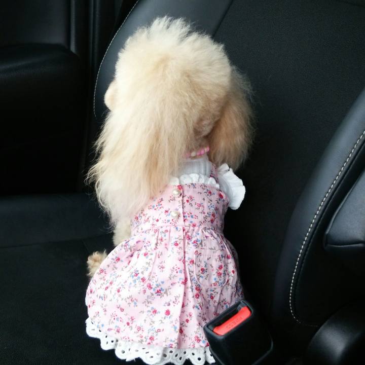 05e76ad1 f829 4a03 80ed 2935e8f10981 1555849972368