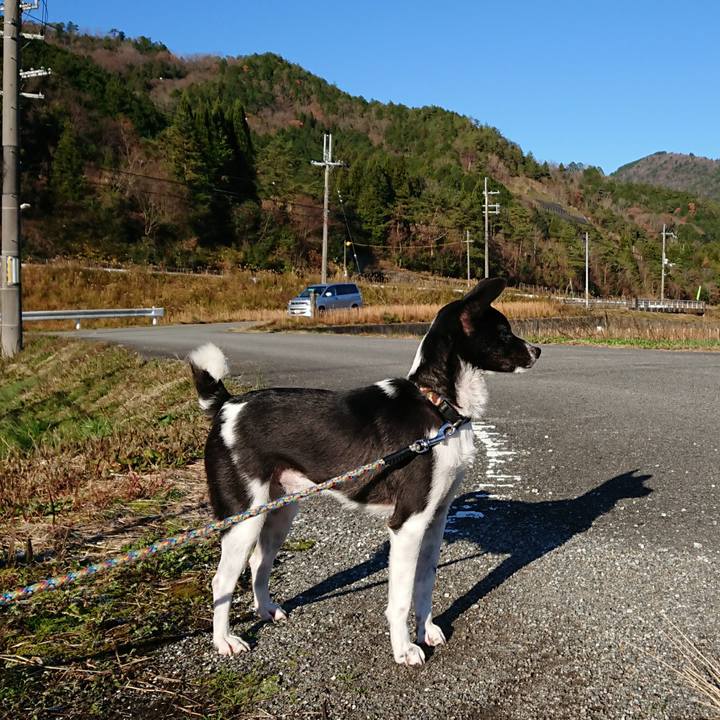 05e79ab3 6e38 467a bf4d fc6400b800ae 1512519139366