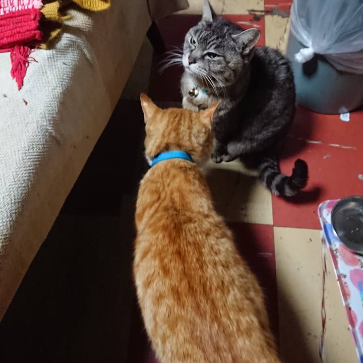 05e79cc8 5028 4831 809d 8d4172ac3aa6 1555272536331