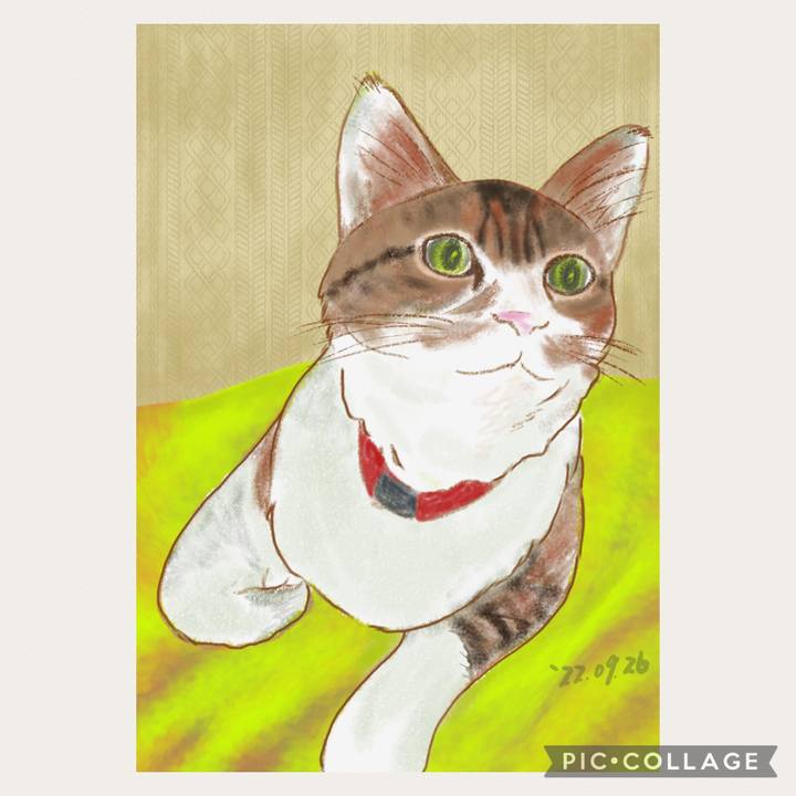 05e7c28d bffe 4062 ace2 b8001f831448 1664162072095