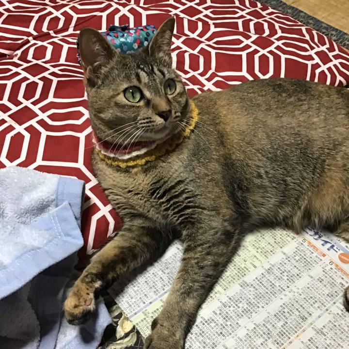 05e7c498 f5ef 4685 9b56 db2644b4a4ca 1623745536031