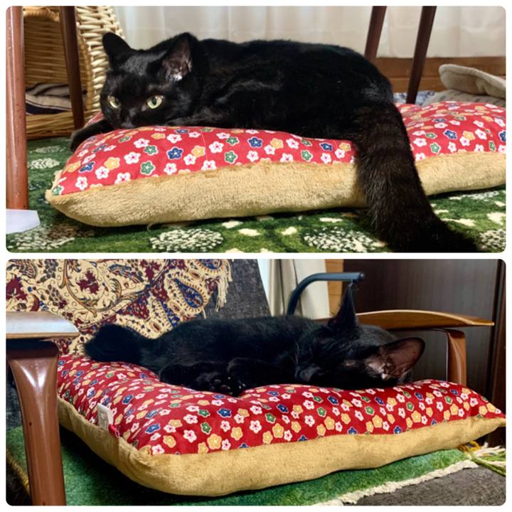 05e7ece3 c400 477b b847 210529369c0c 1601713077290