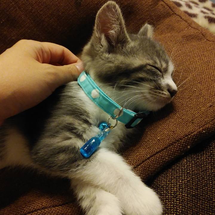 05e81144 53a9 4f14 a87a 87560efe2d01 1561129380513