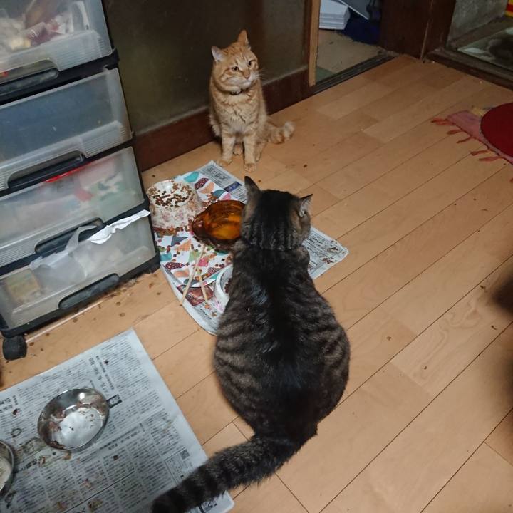 05e83509 1ddd 42d7 9af7 be970d2de4a6 1655417140584