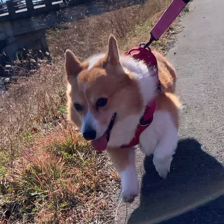 05e841f0 77d1 4d2b addb bea7e4b313b6 1641363521984