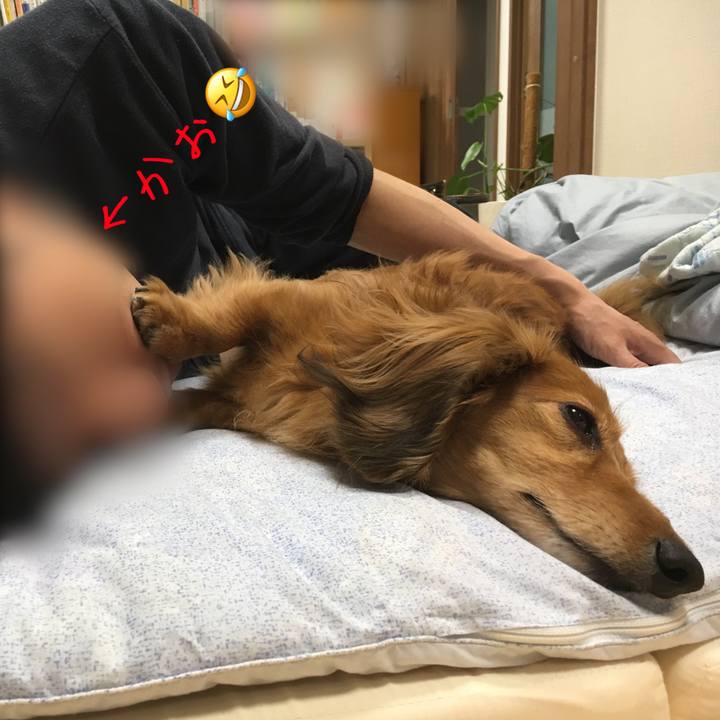 05e84511 d918 4889 9719 73dae2f0e64b 1522740518023