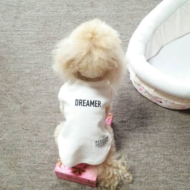 05e84868 780c 4690 8f0a d4062f981d1b 1531809826860