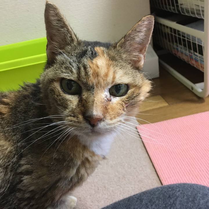 05e8519e b1a4 48fe 9e15 da00774f9806 1577707263780