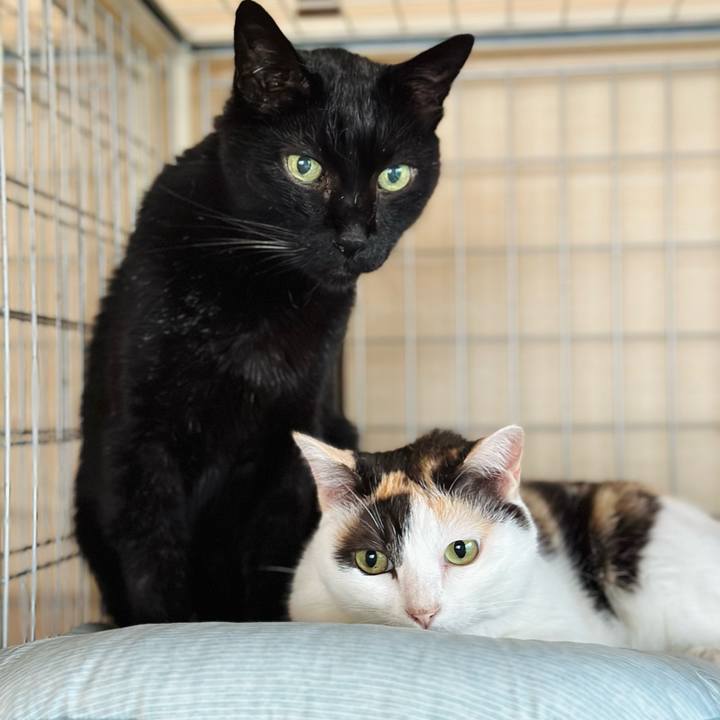 05e86294 17e8 41ce bd50 edf908c0b85e 1694656845827