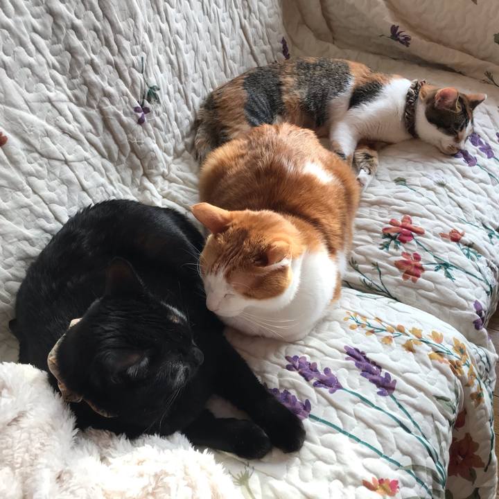 05e88e1c bced 4dcd 95e0 74af920eec78 1610756138053