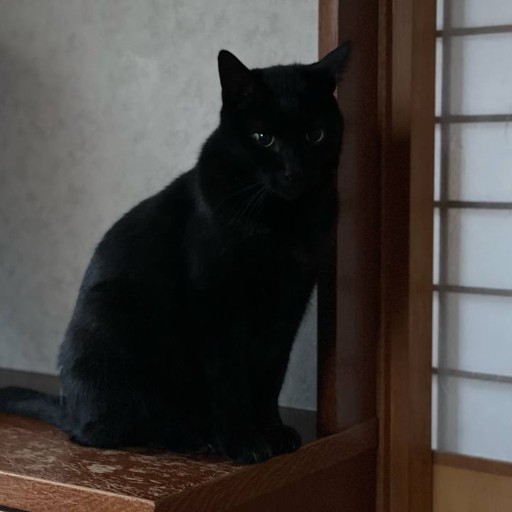 05e8b602 d276 4bc5 9e2a 5def75692fcb 1638838953164