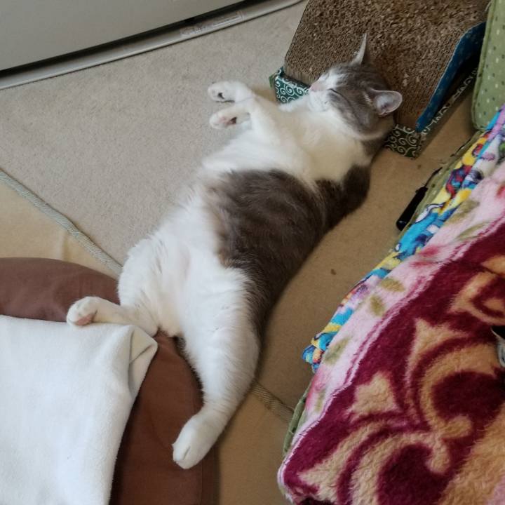 05e8d7cb 2025 4646 977a c5d21ad92970 1679039322648