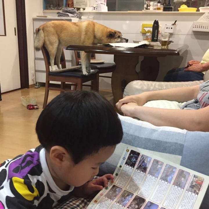 05e8ff27 80d5 40c5 8bcb 84376e1f5bed 1528724977184