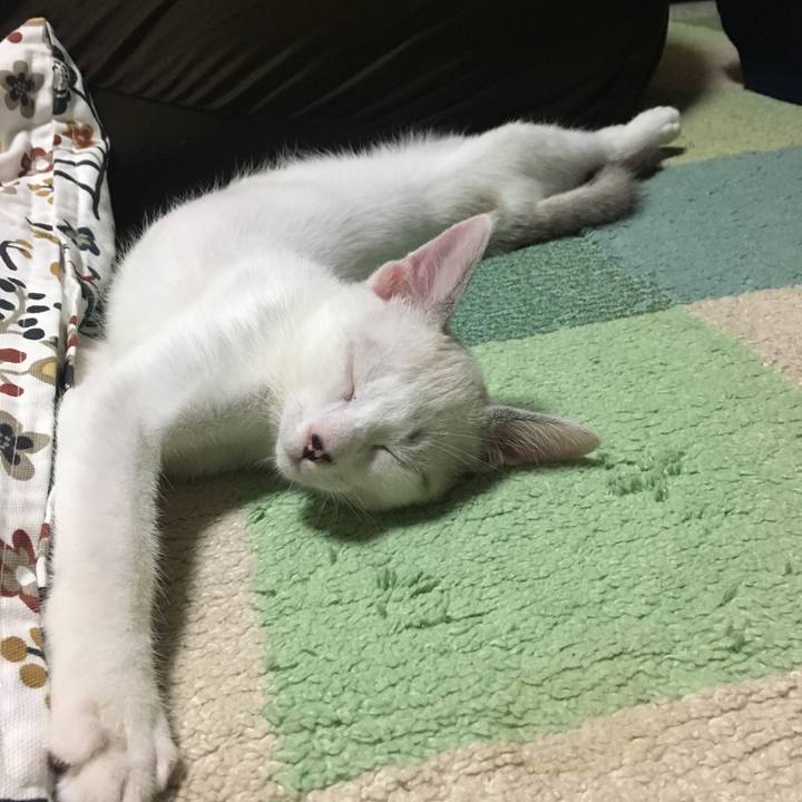 05e9061d 206a 470c bb7c 9248cb32d15c 1533738975557