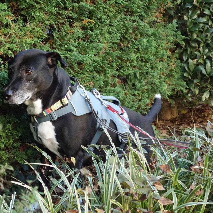 05e90ff6 024a 4809 9537 e3fa2284f313 1731372854212