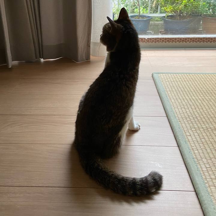 05e93f1b a8eb 4ff0 881a 587d7a23a82e 1598102971480