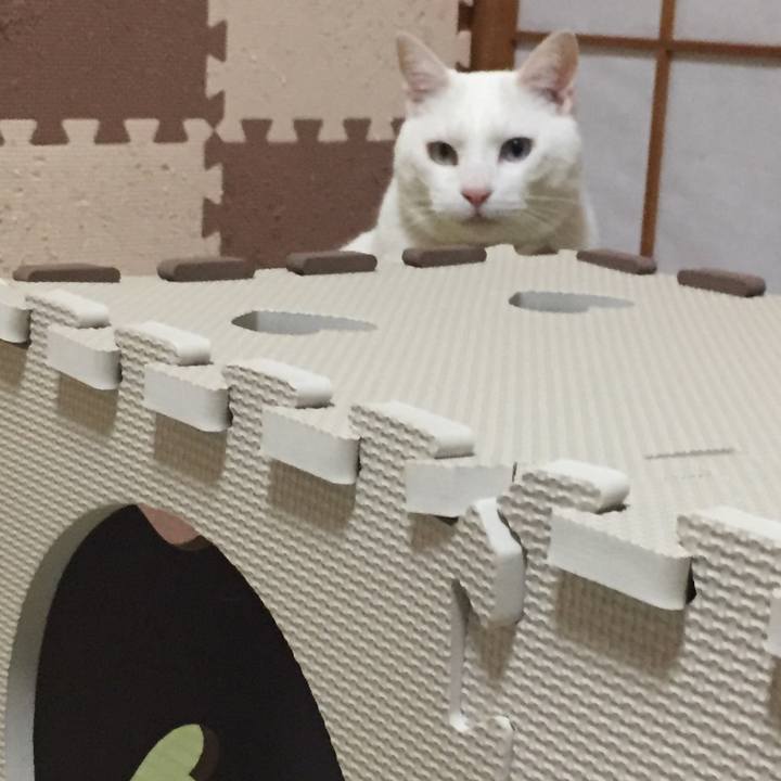 05e963b7 f376 4d5c 9fb8 bf14fd0a8179 1517664349525