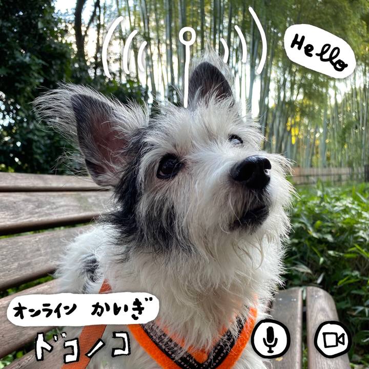 05e97507 fdd8 4977 b11f c75d655eb825 1590757870383