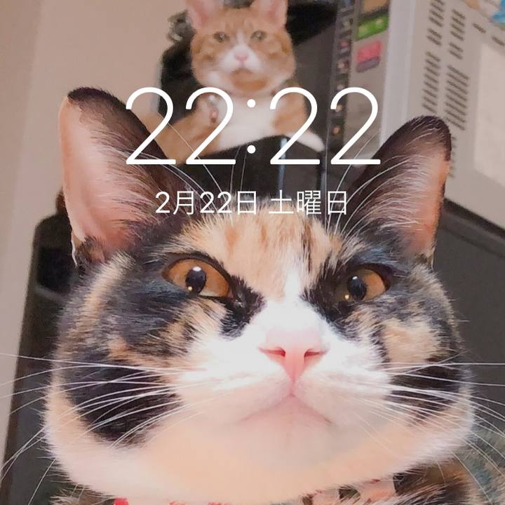 05e97d78 4698 4234 bf60 b98923ae9b9d 1582378512824