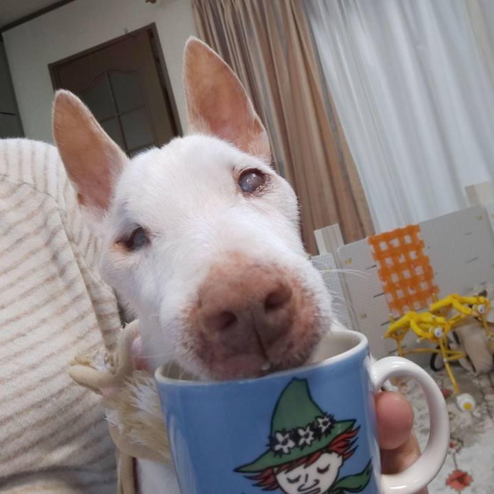 05e99ded 837a 4653 8188 49bda96aa1f9 1616455894051