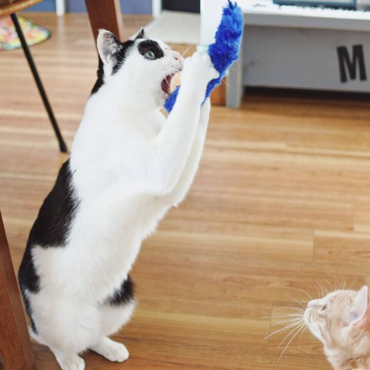 05e9a13f 697d 43dd 9a55 6cb8fe457bc4 1552117168877