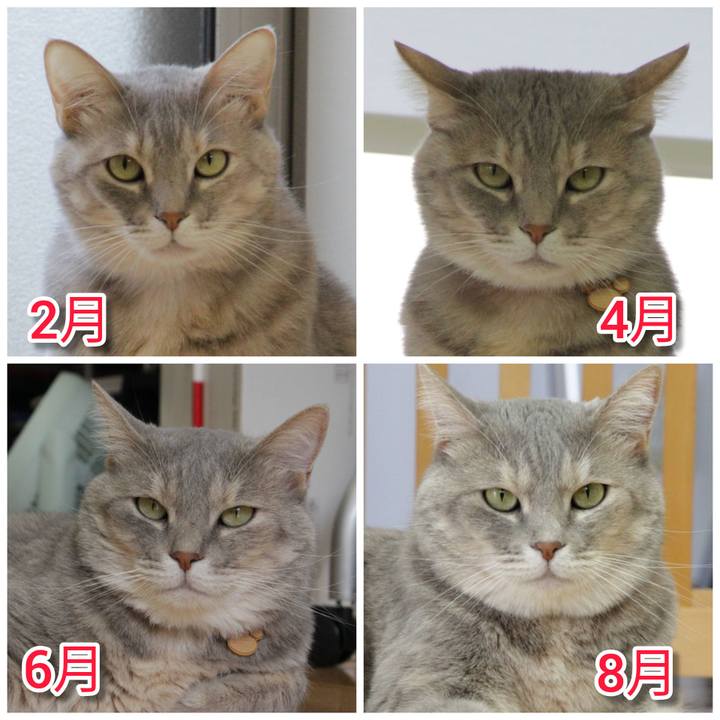 05e9c0b1 2ea7 469b b251 844147d9f2d6 1628294693742