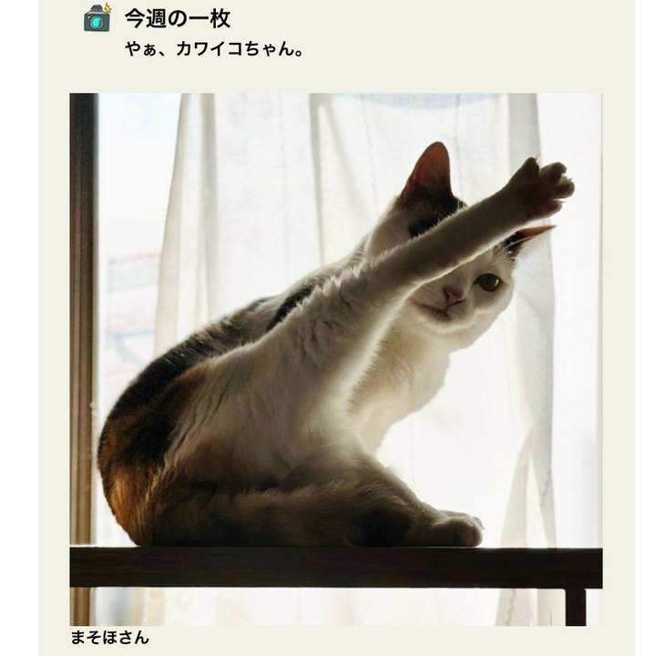 05e9c5c2 d1a5 4446 a161 152f328e14db 1733282645409