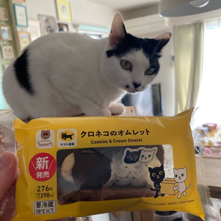 05e9c877 63eb 450f ada5 551f076ef1ef 1770879589390