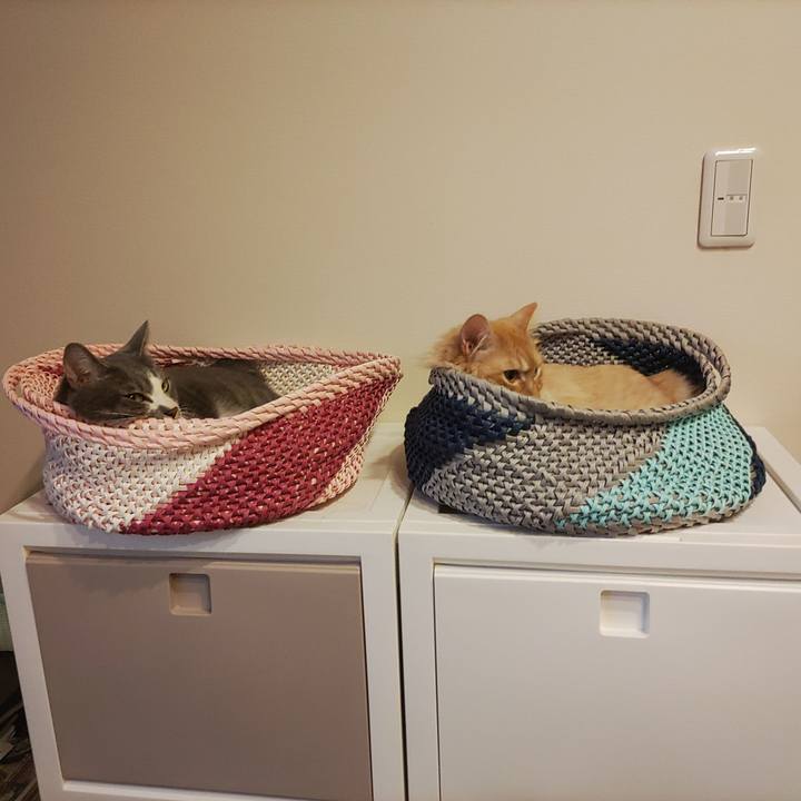 05e9dda0 be45 41a5 8968 09be24467096 1656587969146