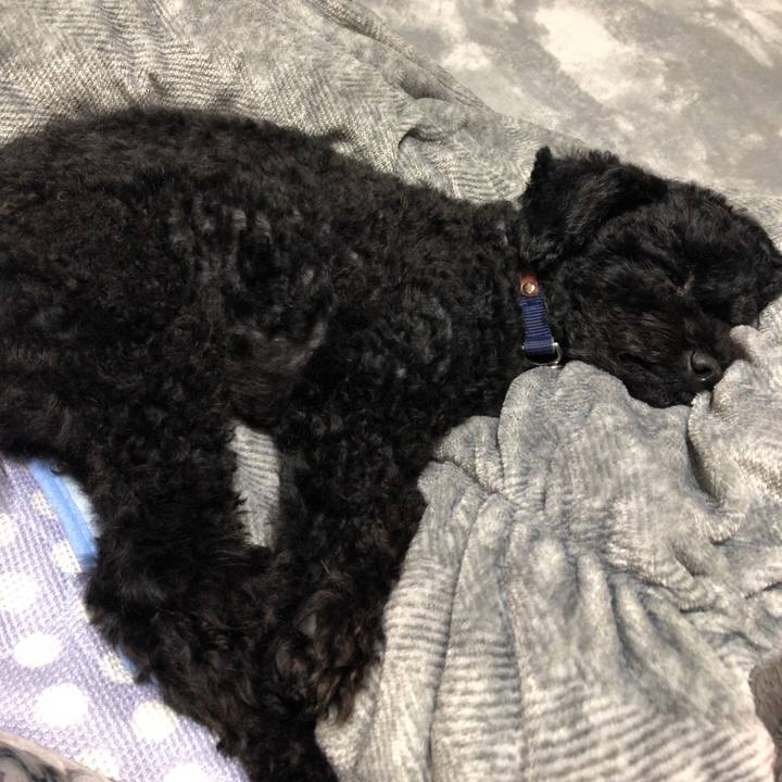 05e9eb53 7dc0 44df 9e21 a5afbfa2573d 1595730283245