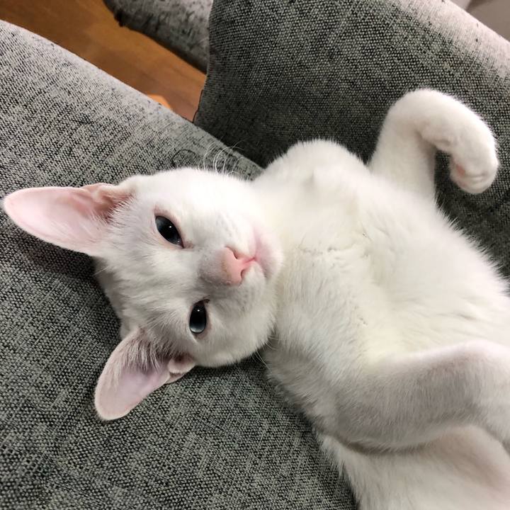 05e9ef7b 9afd 42a5 a5a3 154d051e6d0d 1547121776875