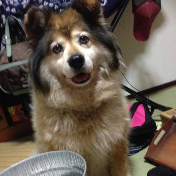 05ea2486 77d9 4d33 b724 ebf312e55693 1563516818630