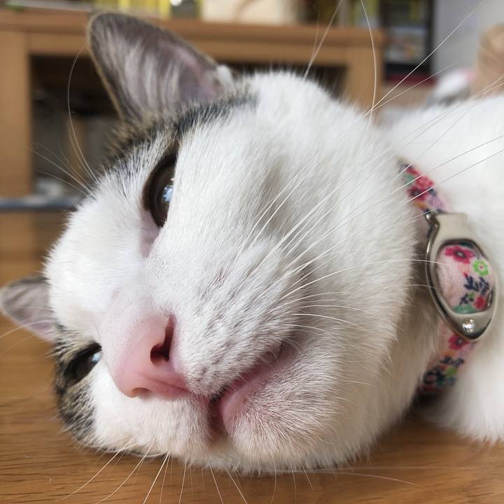 05ea2dcb d062 4f66 9b99 0795e101317b 1599131036044