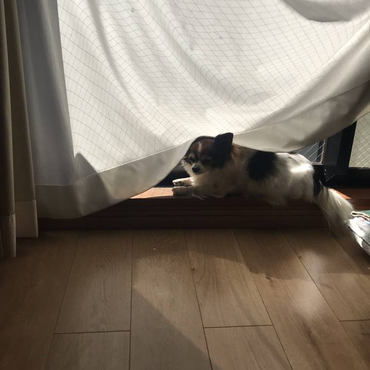 05ea7a07 d0c7 4ea9 b1ad c2dd9ff1e8e7 1644373564067