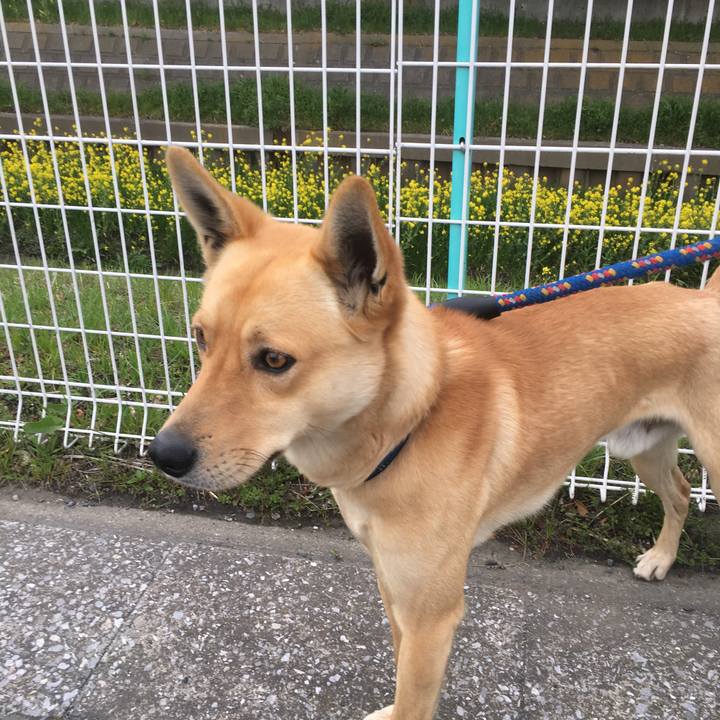 05ea7db1 cd49 4a09 93de 7a63688cd0fb 1521874618769