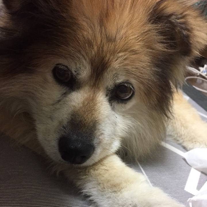 05ea8ec5 3052 4e79 b195 df04f2569402 1610674574662