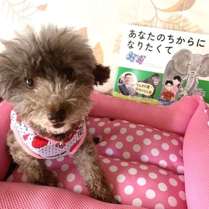 05ea9a00 aed0 4a11 9f45 d89e54df863e 1655704394732