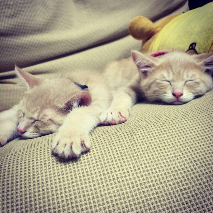 05eae2a3 1300 48cd 8f9a cd2b578f32a3 1763193455393