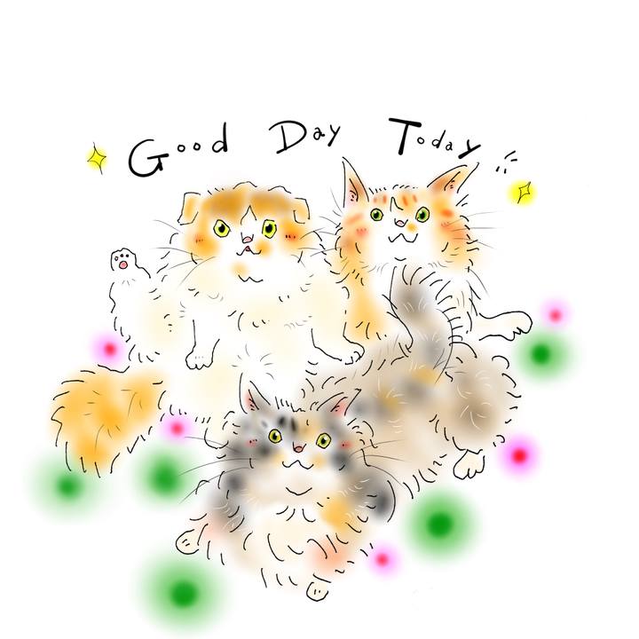 05eafa30 4175 4ab6 8523 58be1e11ea2c 1653433101567