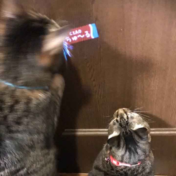 05eb2693 9ba5 4b85 8149 dcbc3eb9360d 1546523403793