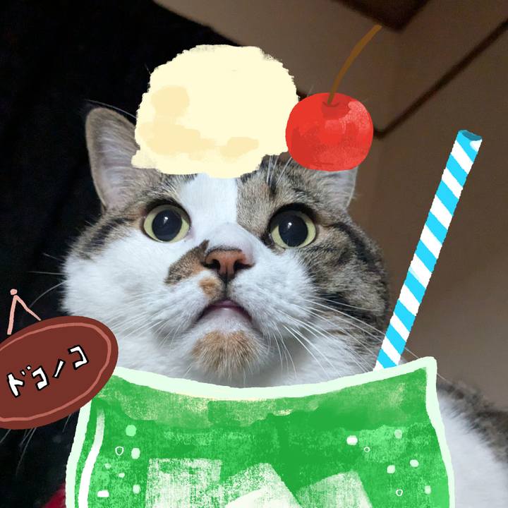 05eb360b a8a2 424f 8c0f e5013c0b6c6e 1755083549665